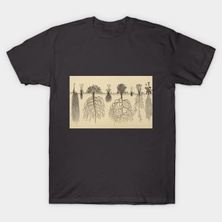 Vintage Roots T-Shirt